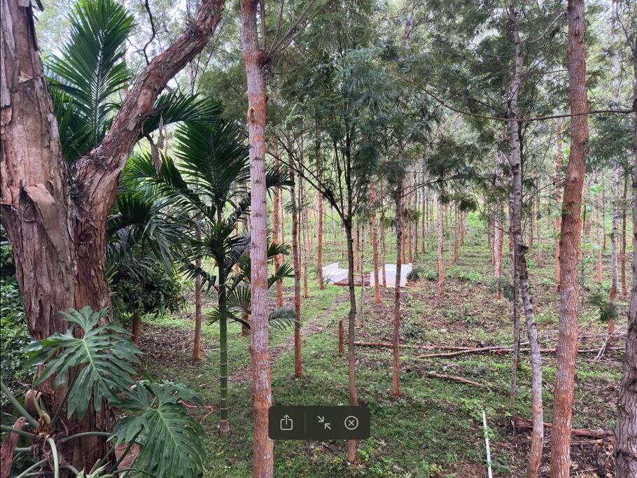 Serenity Farm Stay Hampapura Bagian luar foto