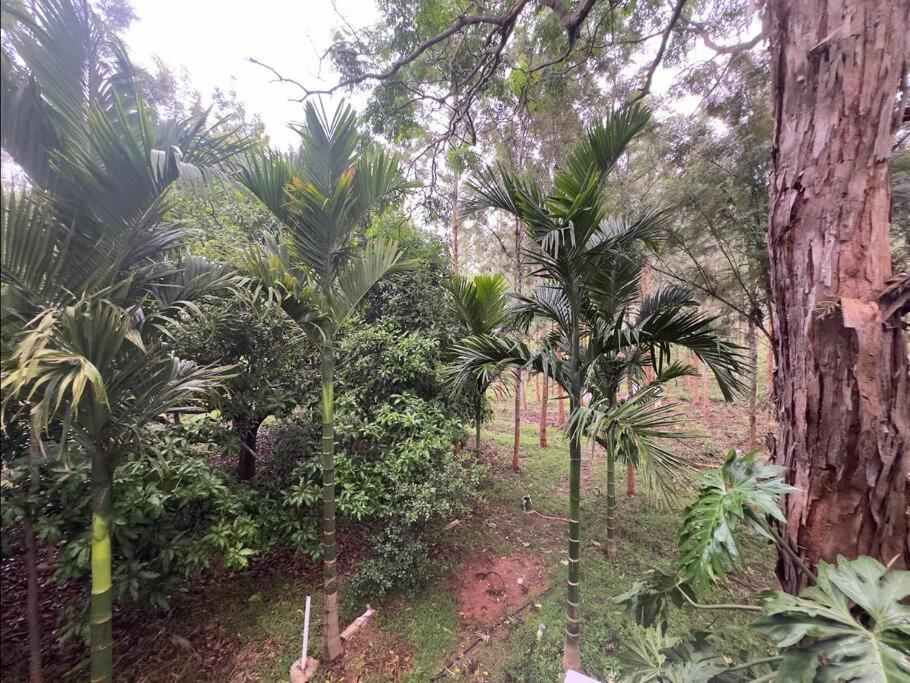 Serenity Farm Stay Hampapura Bagian luar foto